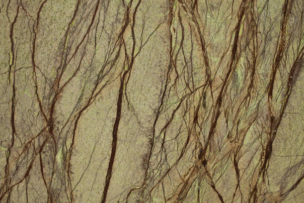 Marmol Pattern 50+ Marmol Texture Stock Photos, Pictures & Royalty-Free Images - iStock