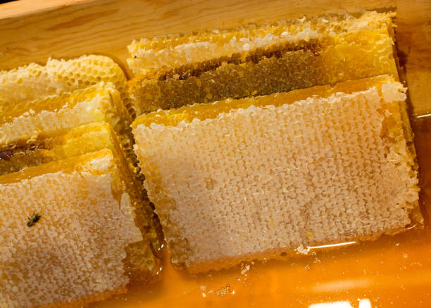 istock Fresh honey in the sealed comb frame 905975346