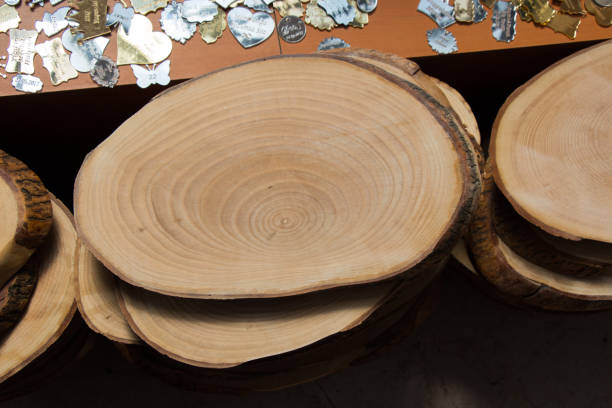 istock Wood Log cut in round thin pieces 905975500