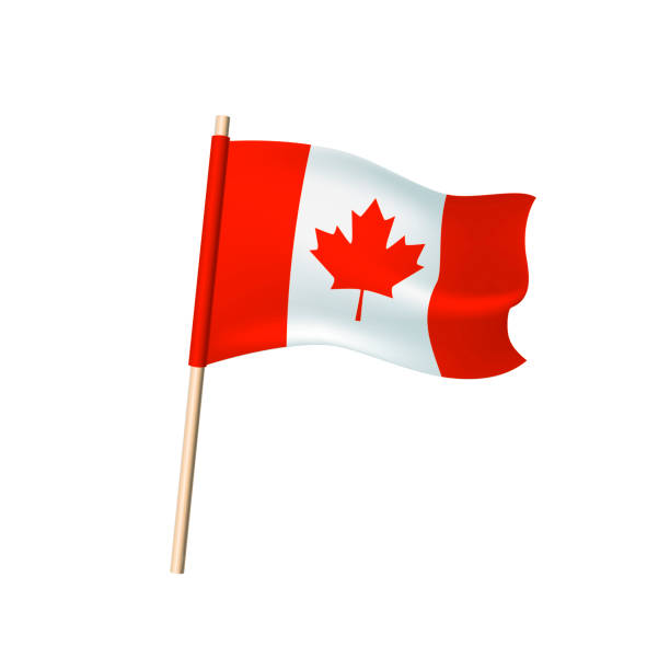 istock Canada flag, silhouette of a maple leaf, red and white stripes 905997816