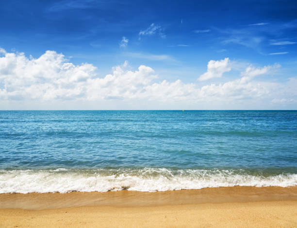 istock Beautiful tropical sea and blue sky 906001146