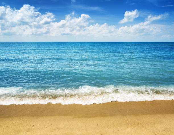istock Beautiful tropical sea and blue sky 906001178