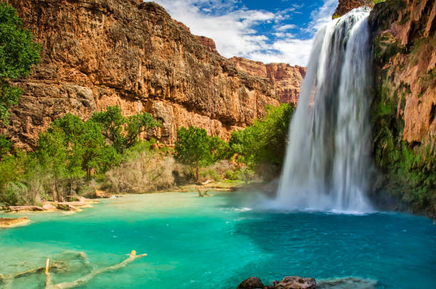 havasu falls havasupai arizona grand canyon - grand canyon photos et images de collection