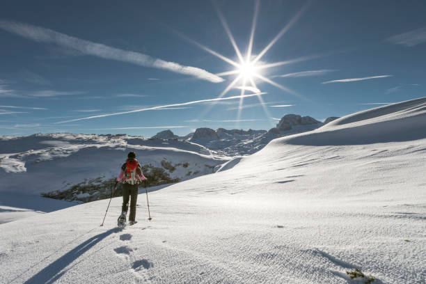 istock Snowshoeing against the sun in the Dachstein Mountains, Austria. 906017436