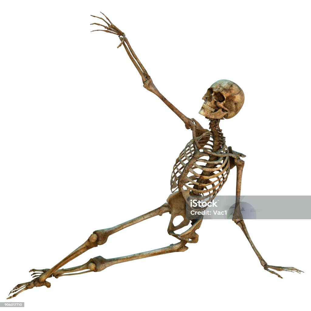 Getting Old Skeleton 3d Digital Render Human Skeleton On White Stock Photo - Download Image ...
