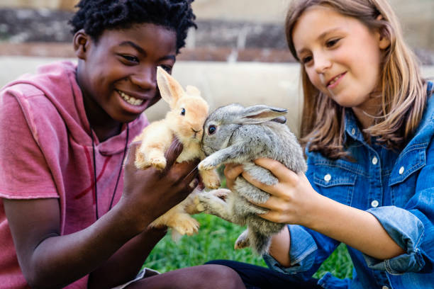 istock Cute kids playing with baby rabbits outdoors in spring. 906029194