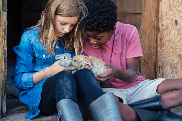 istock Cute kids cuddling baby rabbits outdoors in spring. 906029832