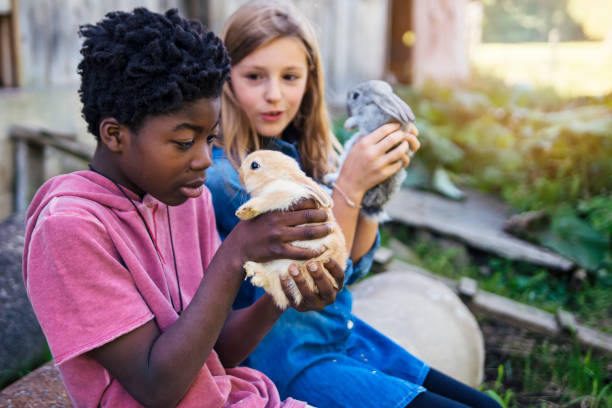 istock Cute kids cuddling baby rabbits outdoors in spring. 906030130