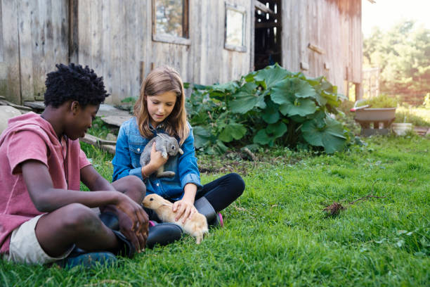 istock Cute kids cuddling baby rabbits outdoors in spring. 906030232