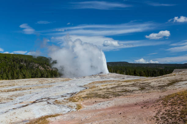 istock Hot Geyser in Yellowstone National Park 906030474