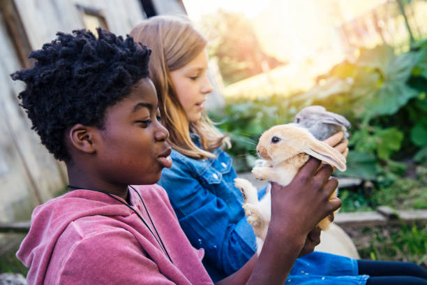 istock Cute kids cuddling baby rabbits outdoors in spring. 906035536