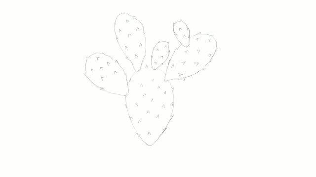 Hand Drawn of Nopal Cactus Video Clip