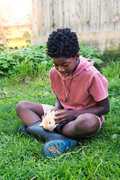 istock Cute african-american boy holding a baby rabbit outdoors in spring. 906036940