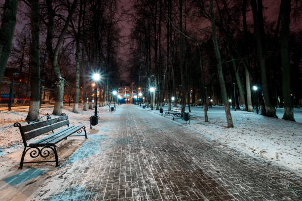 istock Night park in winter with fallen snow. 906037610