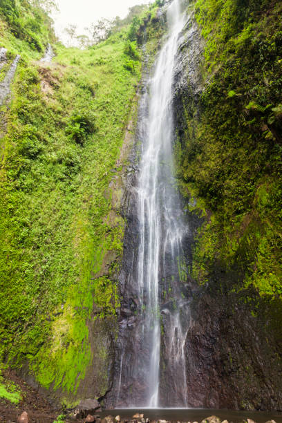 istock San Ramon Waterfalls on Ometepe Island 906037624