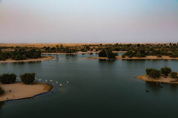 istock A Lake In The Desert 906038530