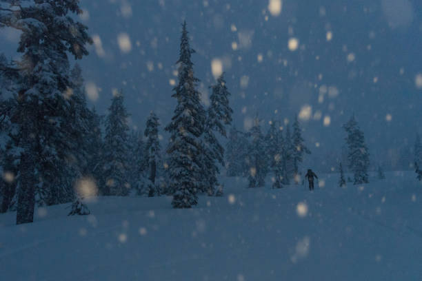 istock Ski touring in a winter wonderland 906038638