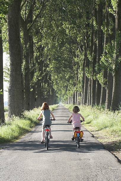 istock Sisters biking in Holland 90611398