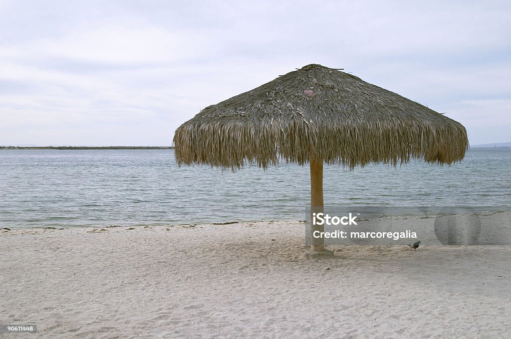 Beach umbrella  Baja California Peninsula Stock Photo