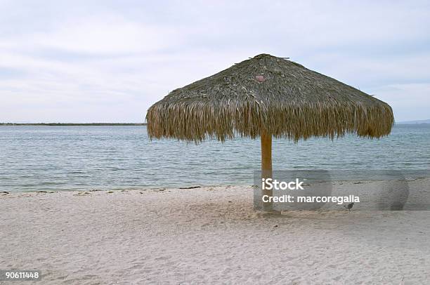 Beach Umbrella Stock Photo - Download Image Now - Baja California Peninsula, Beach, Blue