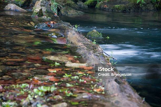 River Flowing Over Rocks Stock Photo - Download Image Now - Autumn, Bush, Change