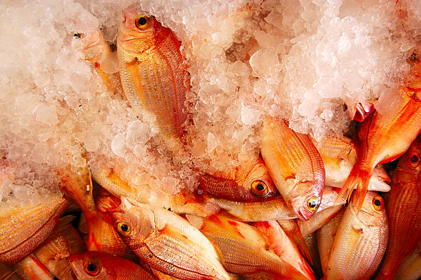 istock Sea Breams and Ice in a Fish Market 90611819