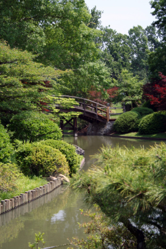 Bridge over a lake in a Japanese Garden