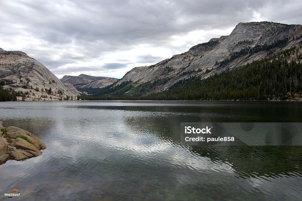 Sierra Lago 2 - Foto de stock de Bosque - Floresta royalty-free