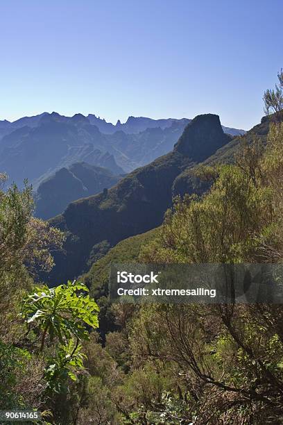 Photo libre de droit de Madeira Montagnes Iv banque d'images et plus d'images libres de droit de Abrupt - Abrupt, Aiguille - Partie d'une plante, Arbre