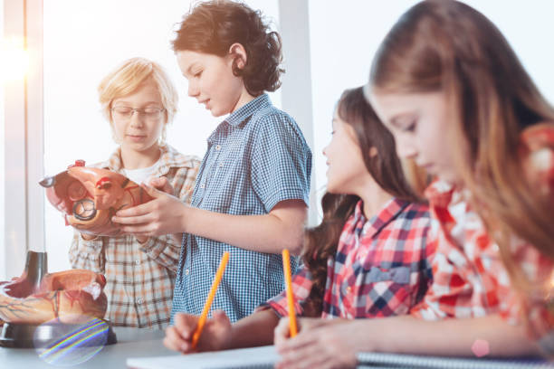 istock Inspiring cheerful students discussing what they learned 906143732