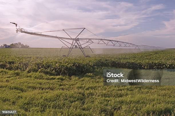 Soybean Field Irrigation Stock Photo - Download Image Now - Agricultural Field, Agricultural Sprinkler, Agriculture