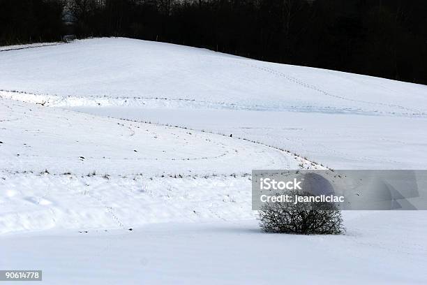 Schnee Winter Stockfoto und mehr Bilder von Abgeschiedenheit - Abgeschiedenheit, Abstrakt, Ast - Pflanzenbestandteil