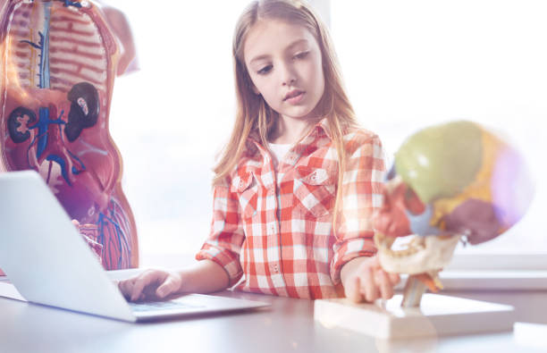 istock Thoughtful productive girl carefully studying anatomic model 906149768