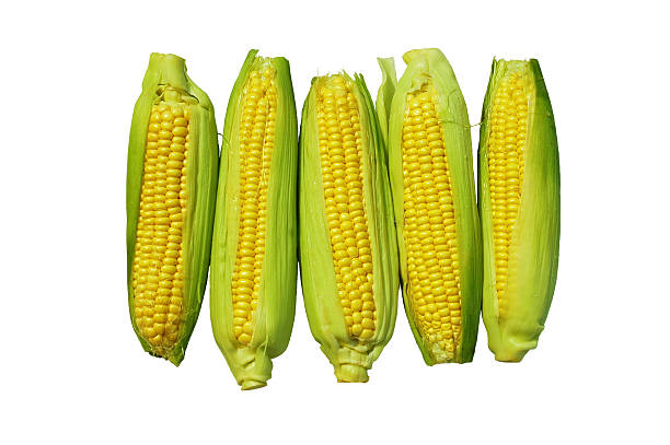 corns stock photo