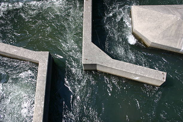 Stepping stones crossing a river in the park
