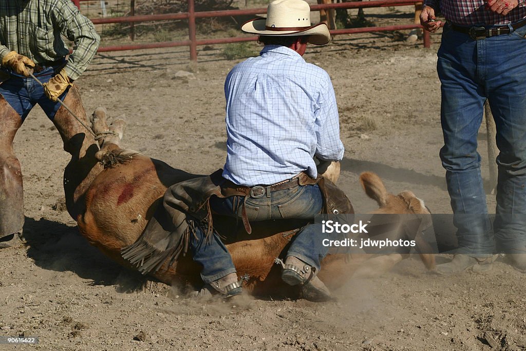 Se encuentra abajo. - Foto de stock de Animal libre de derechos