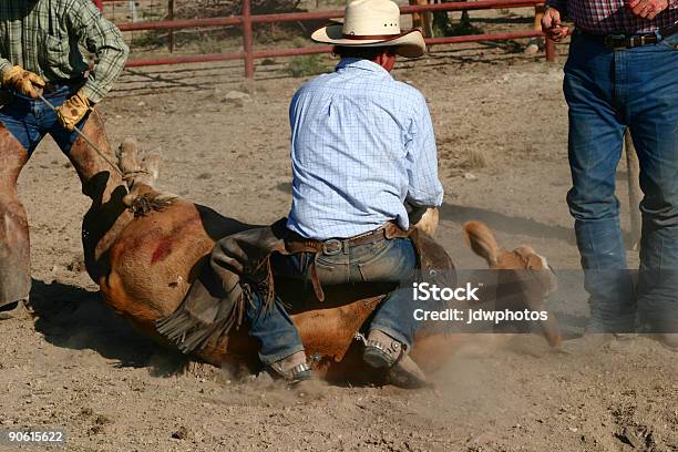 Foto de Ele É Baixo e mais fotos de stock de Animal - Animal, Batalha - Conceito, Bezerro