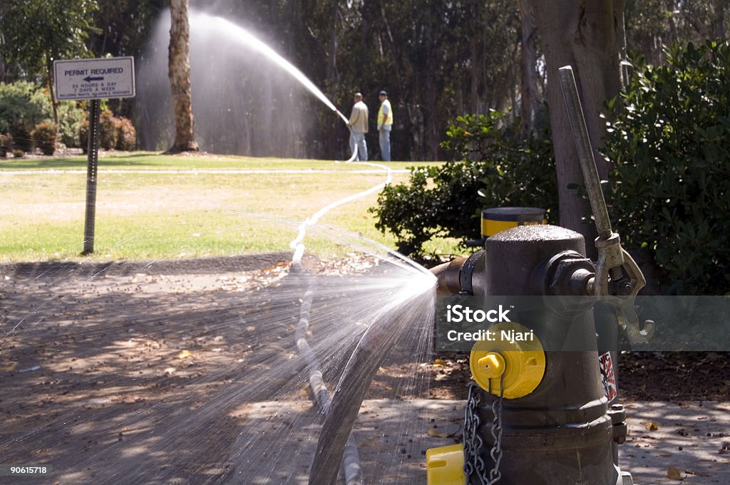 Filtraciones en la fuente - Foto de stock de Acera libre de derechos