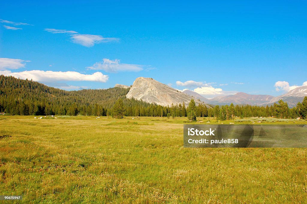 High Sierra - Foto de stock de Aire libre libre de derechos