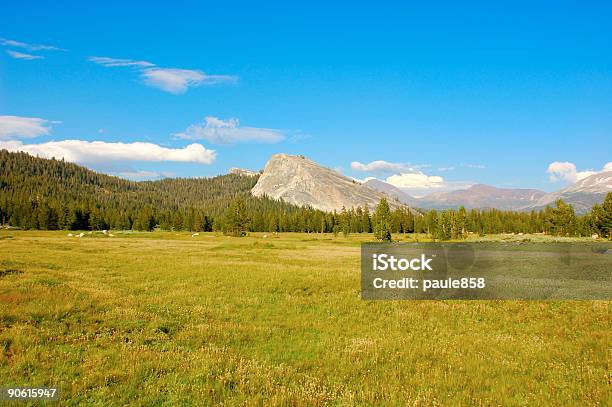 High Sierra Foto de stock y más banco de imágenes de Aire libre - Aire libre, Azul, Bosque