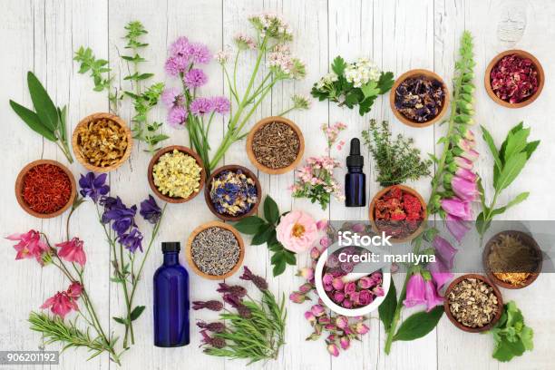 Natural Herbal Medicine Stock Photo - Download Image Now - Aromatherapy, Herbal Medicine, Essential Oil