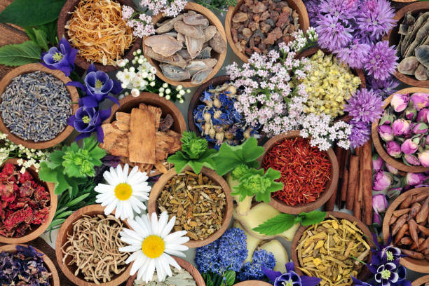 istock Herbal Medicine with Herbs and Flowers 906203602