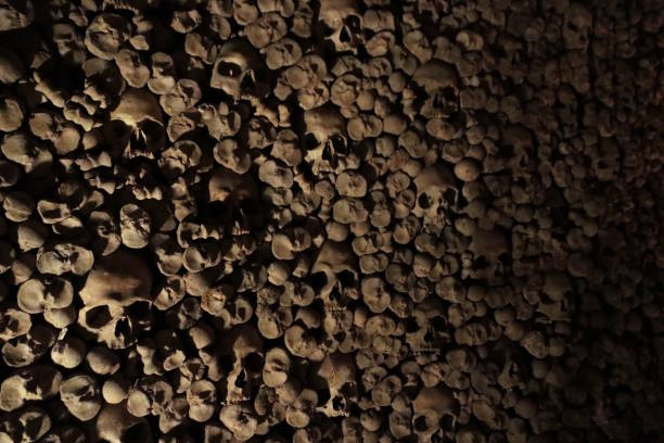черепа в оссуарии церкви сент-джеймс в брно - kutna hora skull human bone people стоковые фото и изображения
