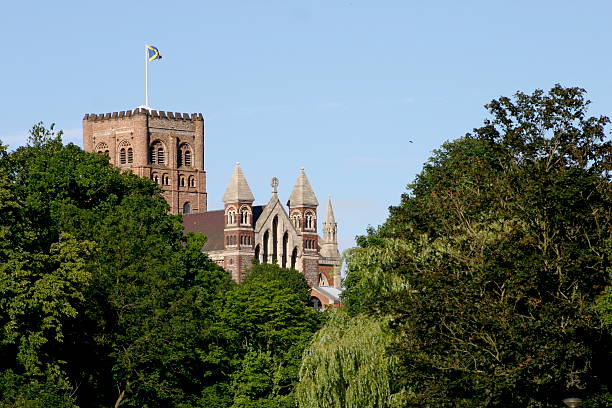 Cathedral in the trees stock photo