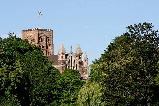 Photo of Cathedral in the trees