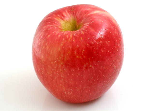 Honeycrisp apple stock photo