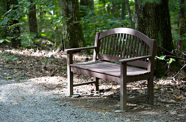 Woods Bench stock photo