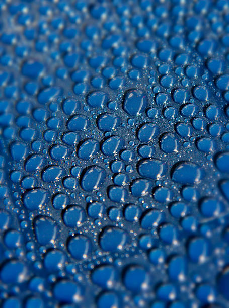 gotas d'água no blue plate - waterdroplets - fotografias e filmes do acervo