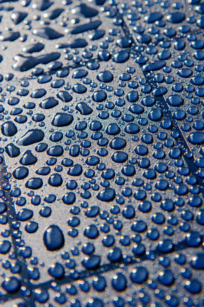 Water droplets on Blue Plate stock photo