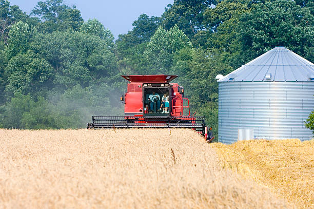 istock Farmer gives family a ride while harvesting 90628861